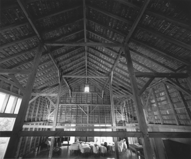 demenil_12-14-08_final